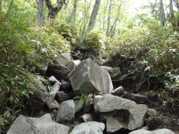 登山道