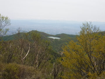 小沼（この）