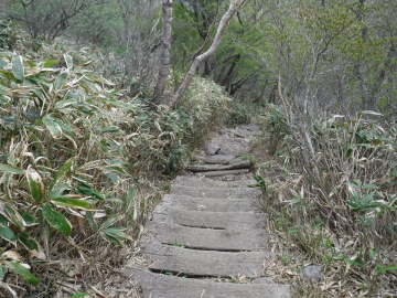 駒ヶ岳に向かう道