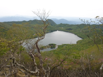 大沼