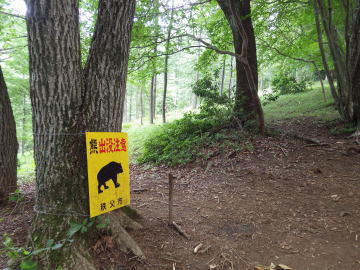 登山道