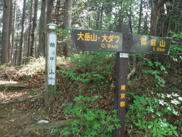 鞘口山（さいぐちやま）