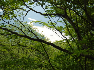 奥多摩湖