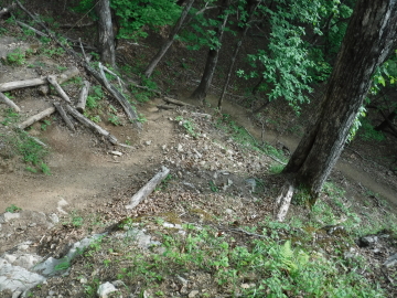 大ブナ尾根