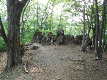 大ブナ尾根