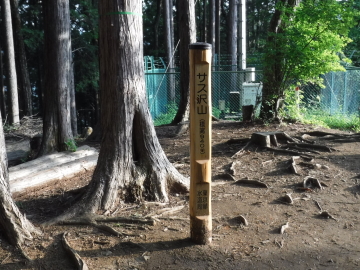 サス山山頂