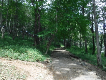 登山道