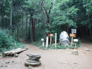 女坂、男坂の分岐