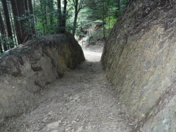 登山道