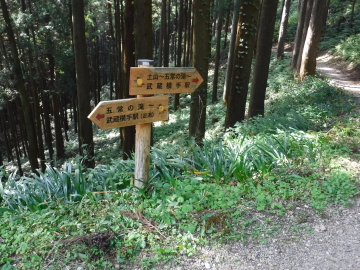 ユガテへの分岐