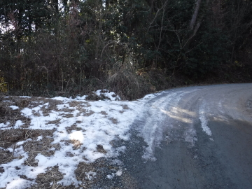 登山道