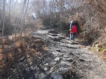 登山道