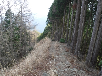 くだりの登山道