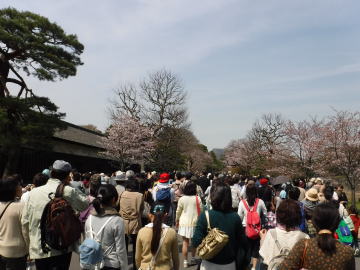 御局前