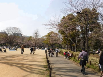 北の丸公園