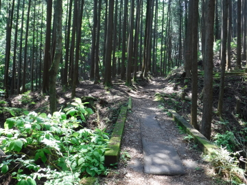 登山道