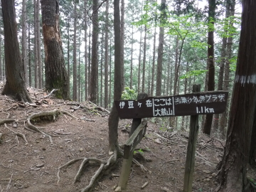 大蔵山