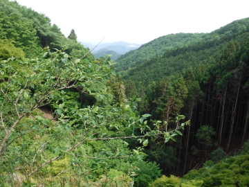 正丸峠からの展望
