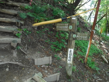 天目指峠