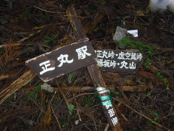 倒れかかった道標