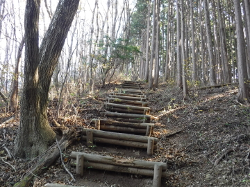 登山道