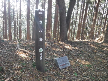 カバ岳