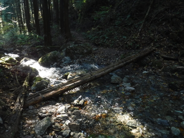 細い渓流に架けられた橋