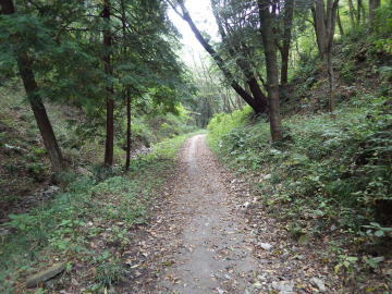 山道