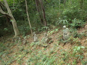羅漢山から下の山道