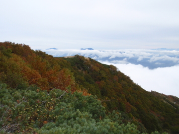 雲海