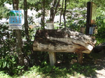 柏原新道登山道入り口