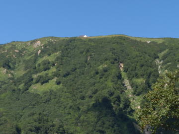 柏原新道途中