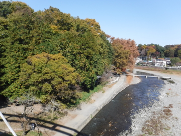入間川