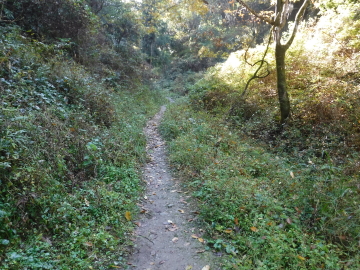 登山道