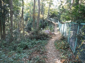 登山道