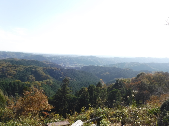 山頂からの眺望