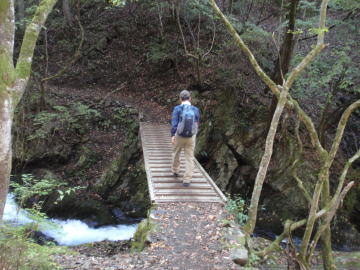 川苔谷を渡る橋