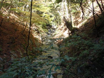 川苔谷