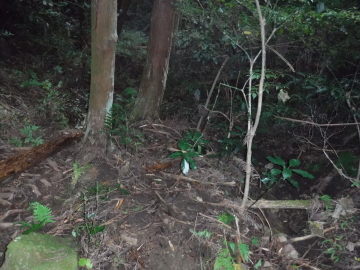 登山道