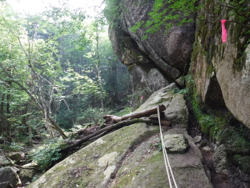 登山道