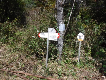登山道分岐