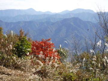 山頂からの景色