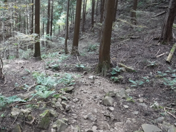 登山道