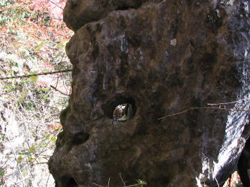 弁慶の腕ぬき岩