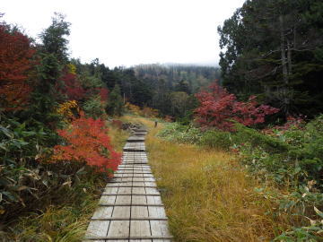 木道