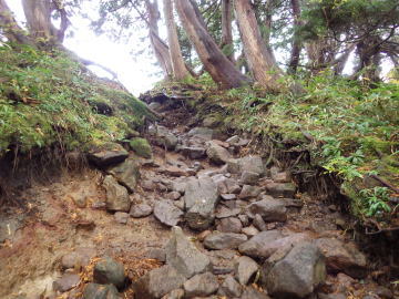 登山道