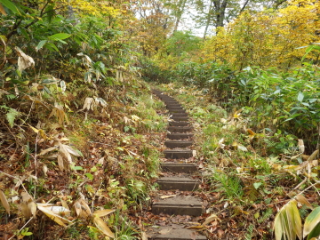 登山道