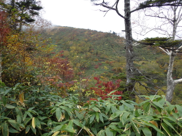 登山道
