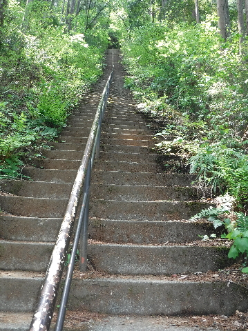 愛宕神社参道
