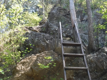 登山道
